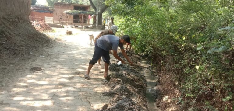 ग्राम प्रधान ने गांव में करवाई सफाई चूने का छिड़काव