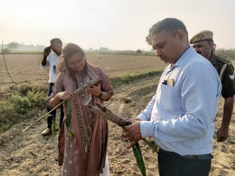 डीएम ने करौसा गांव में धान व बाजरा की फसल की कराई क्रॉप कटिंग