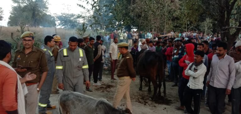 कानपुर देहात की मड़ौली की घटना पर एसपी क्या बोले