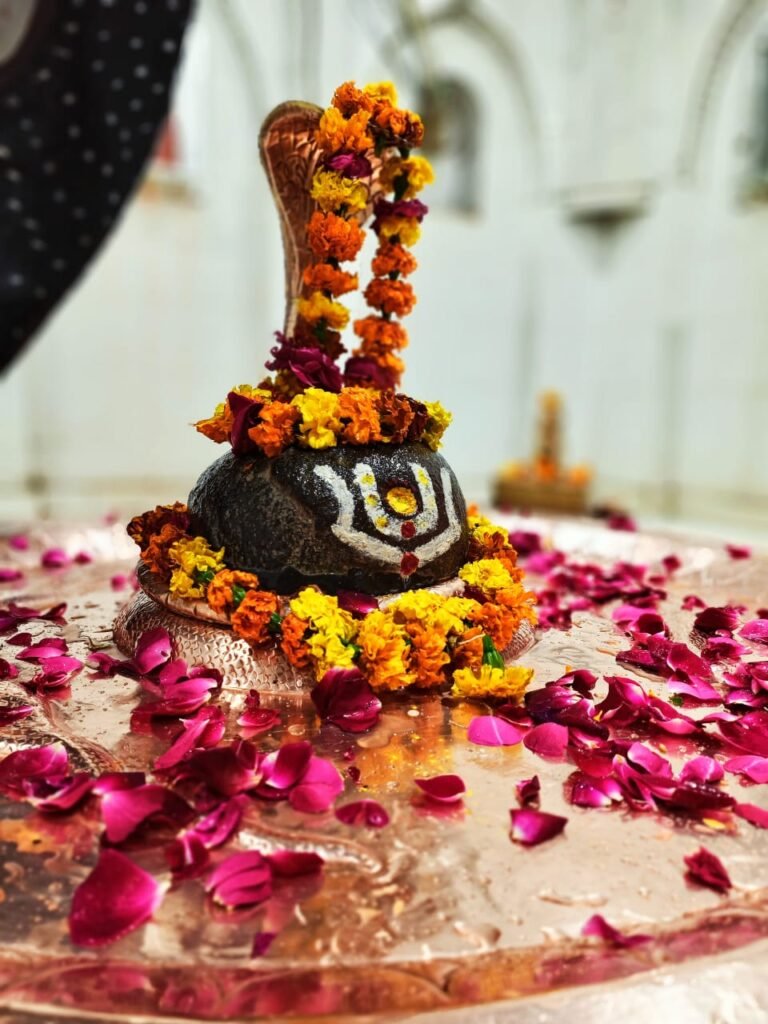 महाशिवरात्रि के महापर्व की सभी को शुभकामनाएं