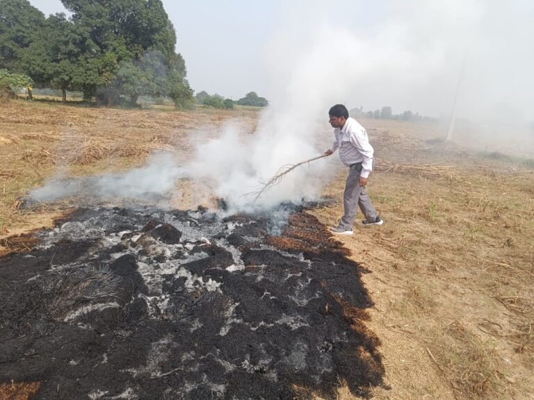 पराली जलाने से रोकने में विफल एसडीएम रसूलाबाद व अकबरपुर को डीएम की कड़ी चेतावनी