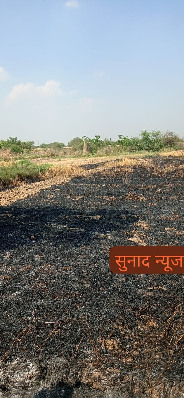 14 किसानों की 7 बीघा जली फसल, एक लाख 48 हजार का हुआ नुकसान