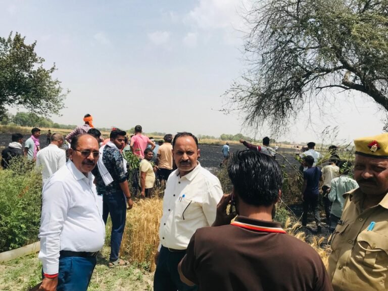 आग से किसानों की जली फसल,राजस्व विभाग आंकलन में जुटा
