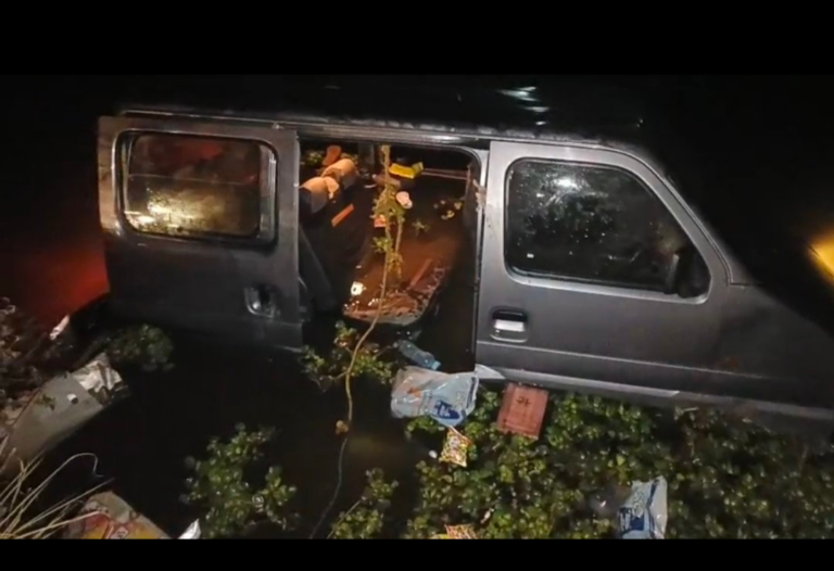 कार तालाब में गिरी चार लोगों की हुई मौत