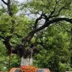 राज्यमंत्री व एसडीएम ने मैथा में सुनी समस्याएं