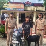 खुलासा-बच्चों की सुरक्षा के साथ खिलवाड़, अनधिकृत वाहन स्कूलों में ला रहे बच्चे